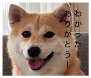 885702516