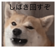885702517
