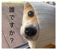 885702518