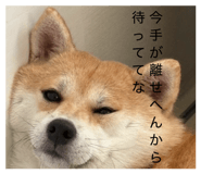 885702519