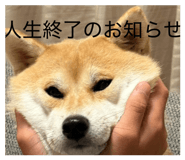 885702521