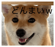 885702522