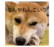 885702523