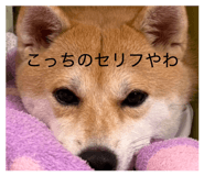 885702524