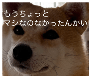 885702526