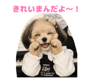 885702531