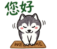 885703481
