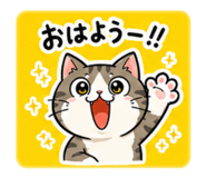 885705057