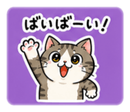 885705075