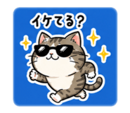 885705079