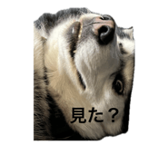 885712614
