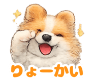 885713254