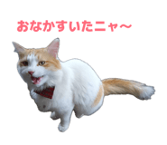 885715005