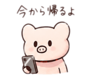 885715245