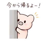 885715252