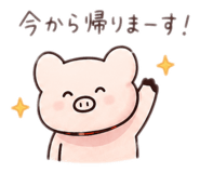885715255