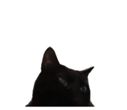 885718163
