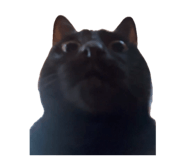 885718166