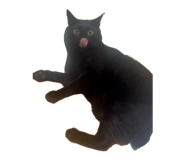 885718167