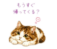 885720666