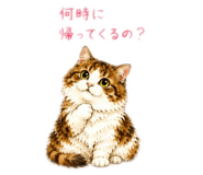 885720668