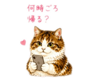885720670
