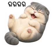 885723123