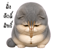 885723132