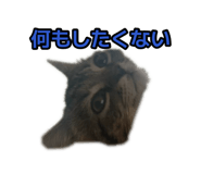 885723536