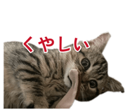 885723542
