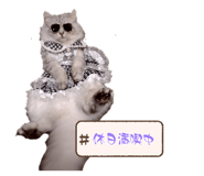 885723621