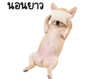 885729081