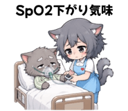 885734013