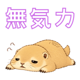 885735208