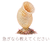 885768182