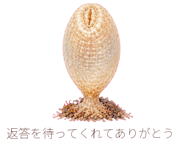 885768184