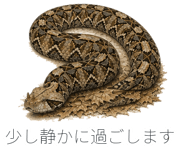 885768250