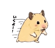 885835008