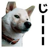 885838607