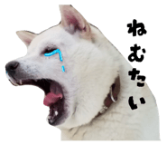 885838608