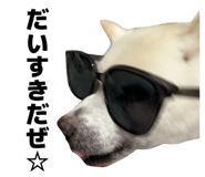 885838609