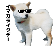 885838611