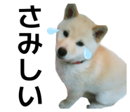 885838612
