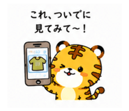 885838651