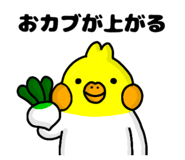 885838836