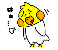 885838847