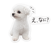 885838978