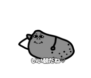 885839027