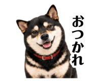 885840900
