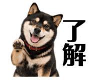 885840903